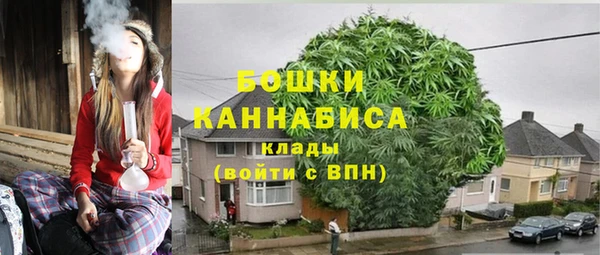 дмт Заводоуковск