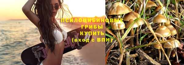 дмт Заводоуковск